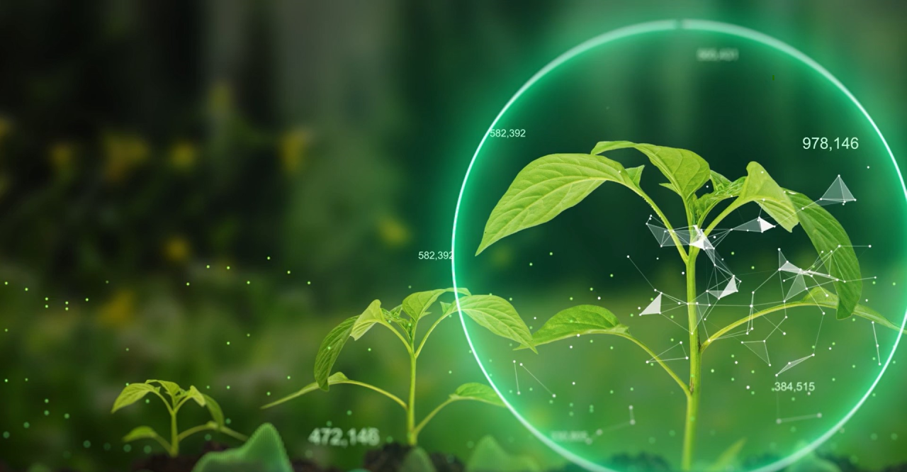 agronomy course details in hindi